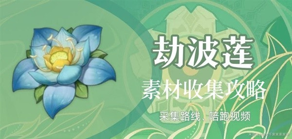 《原神》3.0须弥特产劫波莲采集路线分享