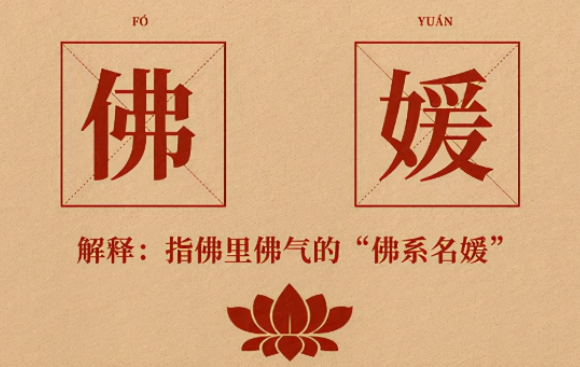 飞盘媛是什么意思网络用语