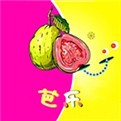 小黄鸭手机版在线下载