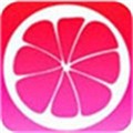 黑桃tv手机版免费下载