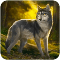 独狼模拟器(The Wolf Simulator)安卓手机游戏app